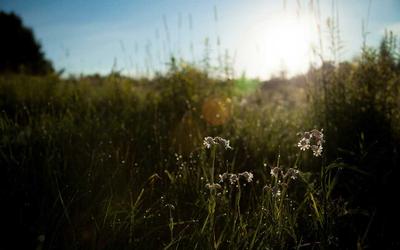 Kombi bakımı kış öncesi